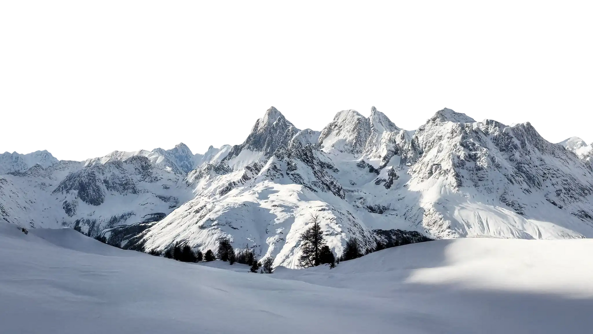 Snow-covered mountain range with trees in the foreground