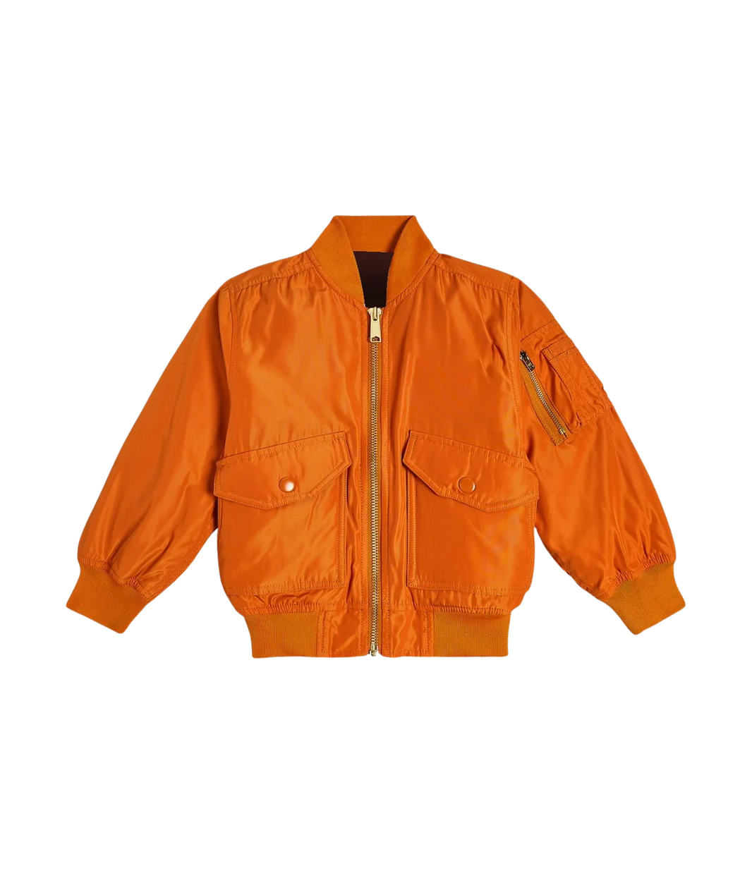 Orange jacket on a transparent background
